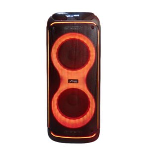 Wireless Portable Dual 10 Inch Speaker Color LED Rechargeable Party Speaker Karaoke Bluetooth