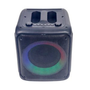 Single 8" Speaker Portable Speaker with Handle Bt Speaker