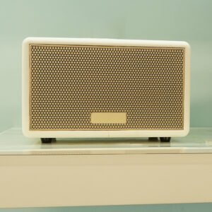 5000mAh Lithium Battery, Supports Two Speakers Tws Wireless Interconnection, Loud Stereo Sound W100 Portable Bluetooth Speaker