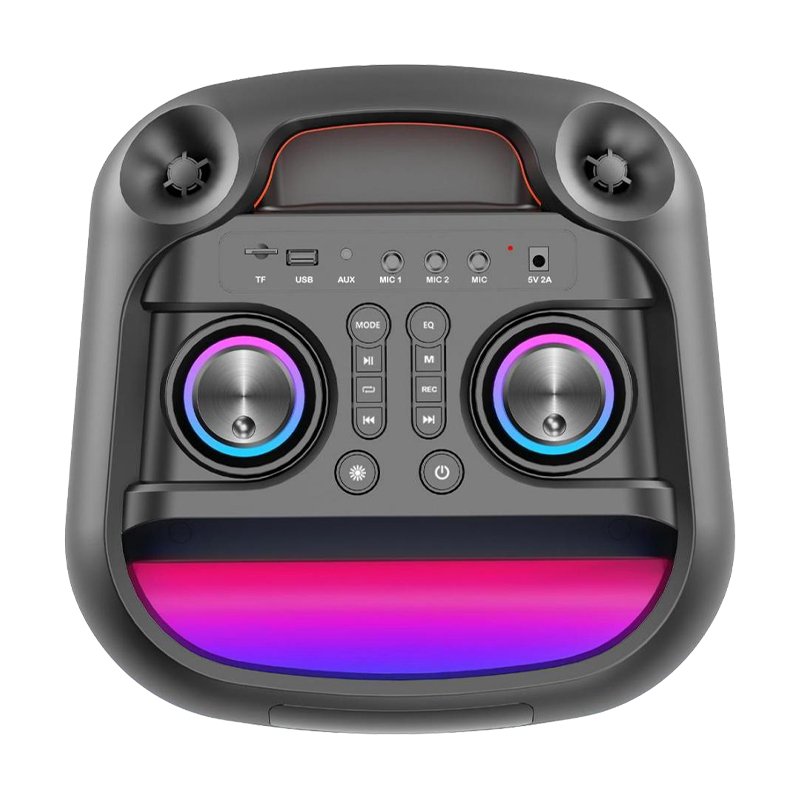 Factory Price Bluetooth Portable Dual 10 Inch Speaker - 图片 4