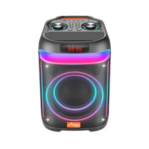 Factory Price Bluetooth Portable Dual 10 Inch Speaker