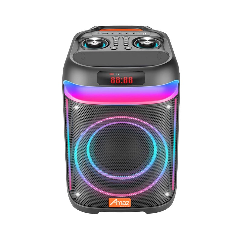 Factory Price Bluetooth Portable Dual 10 Inch Speaker