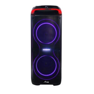 Factory OEM Full Frequency Speaker for Home Theatre System